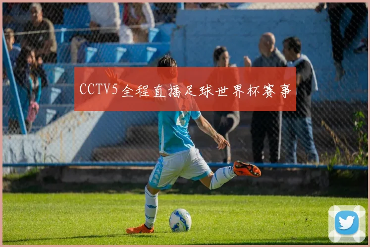 CCTV5全程直播足球世界杯赛事