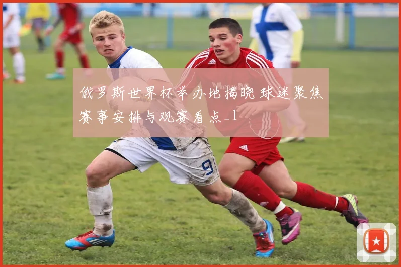 俄罗斯世界杯举办地揭晓 球迷聚焦赛事安排与观赛看点_1