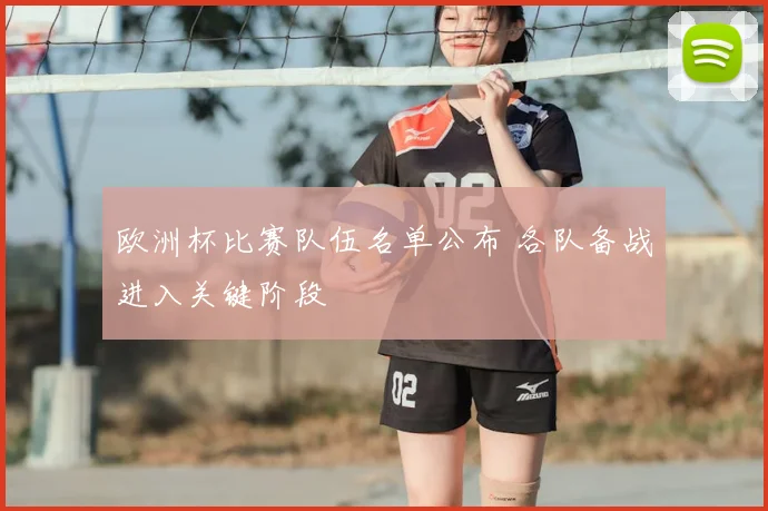欧洲杯比赛队伍名单公布 各队备战进入关键阶段