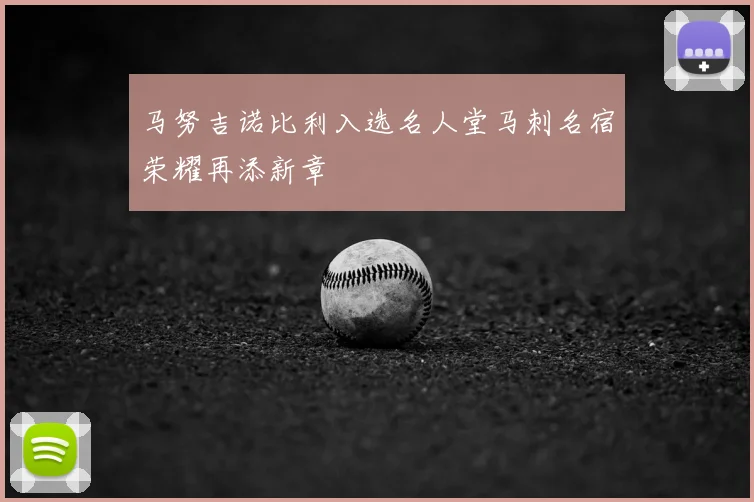 马努吉诺比利入选名人堂马刺名宿荣耀再添新章