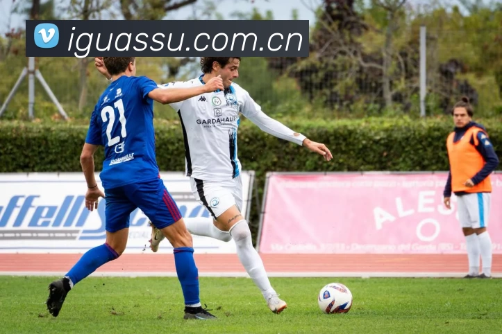 开云·kaiyun体育(中国大陆)官方网站 登录入口APP 封面图